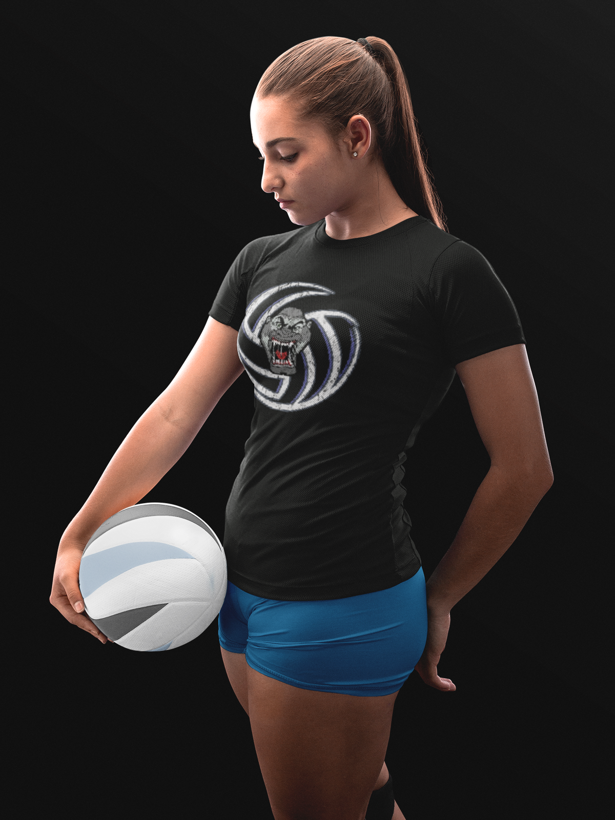 Volley Ball